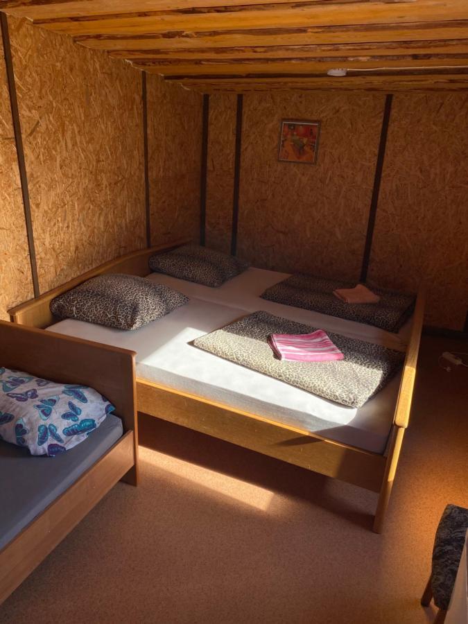 Viesu Maja Arnicani Ragaciems Zewnętrze zdjęcie